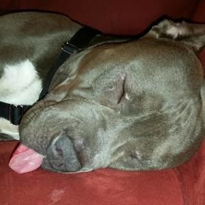 Meet your Posher, Stevie